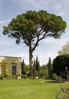Hotel Malavolta Scandicci